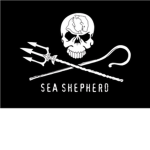 SeaShepards