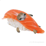 karissa fan
