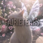 FAIRIETEARS