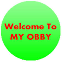 Chase's Obby