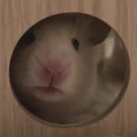 BobaFanClub Group Thumbnail