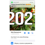 Alina_40robloxstar