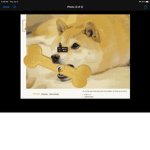 DogeKingArmy