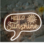 The Sunshinez