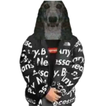 Cipghe Fan Club