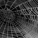 The Webs Hangout