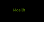 The official Moeillh Group!