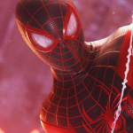 The Spider Cult