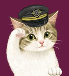 猫好きのグループ