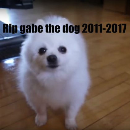 Rip Gabe the dog Roblox decal