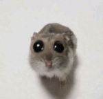 臭い人