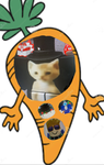 The Odd Carrots