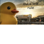 duck revolution!