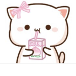 Kawaii fan squad group