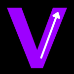 Velorum Ventures