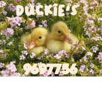 Duckie's Cutie <3
