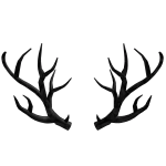 Black Sparkle Time Antlers