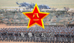 中央军事巡视组