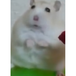 一般男性アスレチックシリーズ