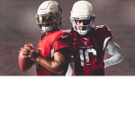 AZ Bird Gang