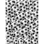 Who likes SOCCER