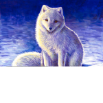 Artic_Fox_Crew