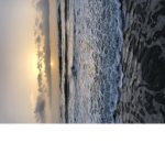 SUNRISE CO COCONUT GIRL AESTHETIC