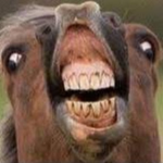 The Zombi3_Chaser Community
