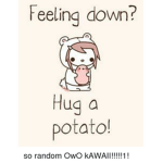 Potato Fanss