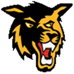 Golden Wolves Arena