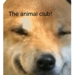 The Animal Club! :>