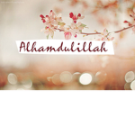 Shasha land