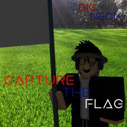 Capture the Flag