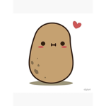 ChimChim Member