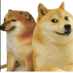 Doge and cheems