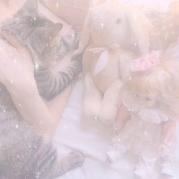 ✧･ﾟ: *✧･ﾟ:*
