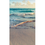 ' ' Ocean Vibes Group ' '