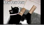 NBXD