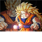 Z Fighters