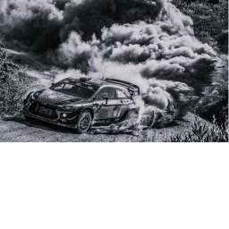 Racing: The Final