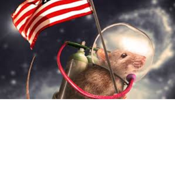 IRSS (International Rat Space Station)