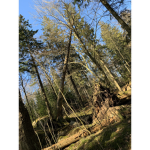 Stormland Park