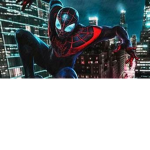 spider man is the winner