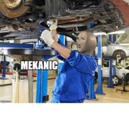 Mechanic Experience