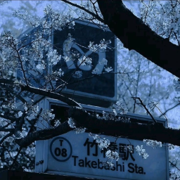 ♡ 至愛