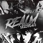 彡 Realm