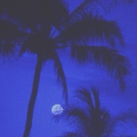 4Moonlight