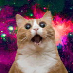 Cat <3 Group