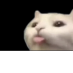 Pu pp y ee