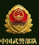 [GZMC]雷神突击队